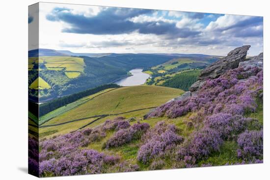 View of Ladybower Reservoir and flowering purple heather on Derwent Edge-Frank Fell-Stretched Canvas