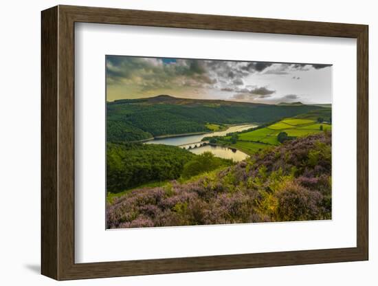 View of Ladybower Reservoir and flowering purple heather, Peak District National Park, Derbyshire-Frank Fell-Framed Photographic Print