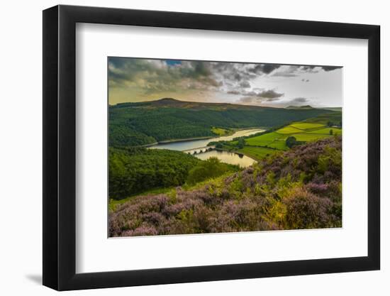 View of Ladybower Reservoir and flowering purple heather, Peak District National Park, Derbyshire-Frank Fell-Framed Photographic Print