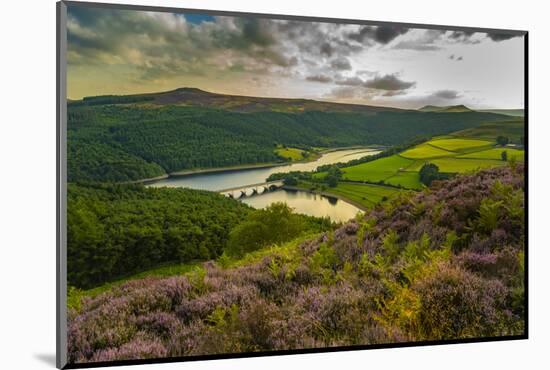 View of Ladybower Reservoir and flowering purple heather, Peak District National Park, Derbyshire-Frank Fell-Mounted Photographic Print