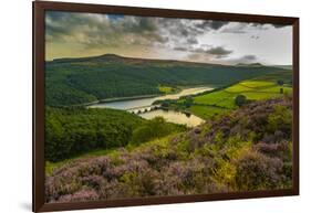 View of Ladybower Reservoir and flowering purple heather, Peak District National Park, Derbyshire-Frank Fell-Framed Photographic Print