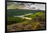 View of Ladybower Reservoir and flowering purple heather, Peak District National Park, Derbyshire-Frank Fell-Framed Photographic Print