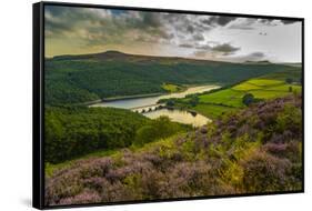 View of Ladybower Reservoir and flowering purple heather, Peak District National Park, Derbyshire-Frank Fell-Framed Stretched Canvas