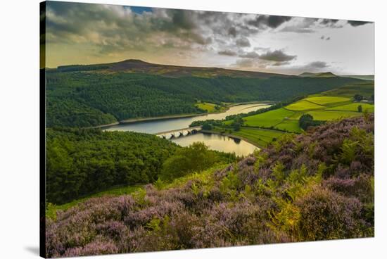 View of Ladybower Reservoir and flowering purple heather, Peak District National Park, Derbyshire-Frank Fell-Stretched Canvas