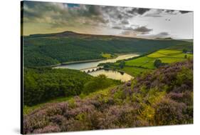 View of Ladybower Reservoir and flowering purple heather, Peak District National Park, Derbyshire-Frank Fell-Stretched Canvas
