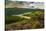 View of Ladybower Reservoir and flowering purple heather, Peak District National Park, Derbyshire-Frank Fell-Stretched Canvas