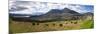 View of Lago del San Pablo and Imbabura volcano from entrance to Sacha Ji, Imbabura Province, Ec...-null-Mounted Photographic Print