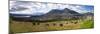 View of Lago del San Pablo and Imbabura volcano from entrance to Sacha Ji, Imbabura Province, Ec...-null-Mounted Photographic Print
