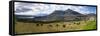 View of Lago del San Pablo and Imbabura volcano from entrance to Sacha Ji, Imbabura Province, Ec...-null-Framed Stretched Canvas