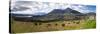 View of Lago del San Pablo and Imbabura volcano from entrance to Sacha Ji, Imbabura Province, Ec...-null-Stretched Canvas
