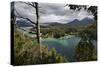 View of Lago Nahuel Huapi from Mirador Bahia Mansa, Parque Nacional Los Arrayanes, Villa La Angostu-Stuart Black-Stretched Canvas