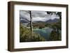 View of Lago Nahuel Huapi from Mirador Bahia Mansa, Parque Nacional Los Arrayanes, Villa La Angostu-Stuart Black-Framed Photographic Print