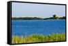 View of Lake and Reeds, Capalbio, Tuscany, Italy-Stefano Amantini-Framed Stretched Canvas