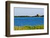 View of Lake and Reeds, Capalbio, Tuscany, Italy-Stefano Amantini-Framed Photographic Print