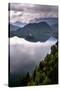 View of Lake Bled from Lake Bled Castle-Matthew Williams-Ellis-Stretched Canvas