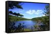 View of Lake, Cadia National Park, Maine, USA-Stefano Amantini-Framed Stretched Canvas