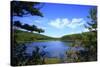 View of Lake, Cadia National Park, Maine, USA-Stefano Amantini-Stretched Canvas