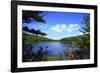 View of Lake, Cadia National Park, Maine, USA-Stefano Amantini-Framed Photographic Print