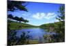 View of Lake, Cadia National Park, Maine, USA-Stefano Amantini-Mounted Photographic Print