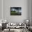 View of Lake Huron, Ponte Aux Barques Lighthouse, Michigan, USA-Adam Jones-Photographic Print displayed on a wall