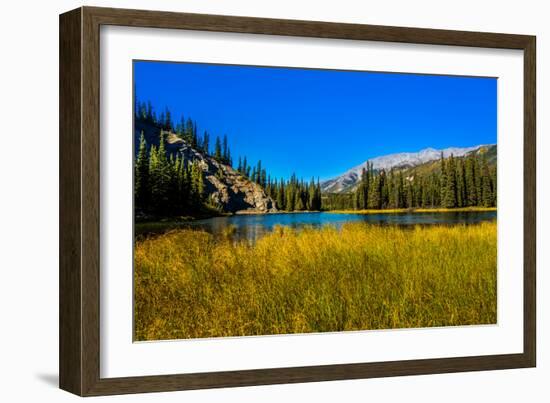 View of lake in Denali National Park, Alaska, United States of America, North America-Laura Grier-Framed Premium Photographic Print