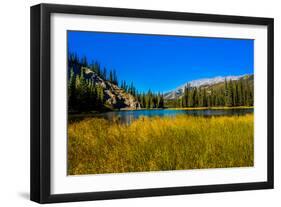 View of lake in Denali National Park, Alaska, United States of America, North America-Laura Grier-Framed Premium Photographic Print