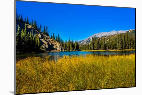 View of lake in Denali National Park, Alaska, United States of America, North America-Laura Grier-Mounted Premium Photographic Print