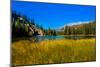 View of lake in Denali National Park, Alaska, United States of America, North America-Laura Grier-Mounted Premium Photographic Print