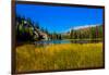 View of lake in Denali National Park, Alaska, United States of America, North America-Laura Grier-Framed Photographic Print