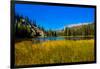 View of lake in Denali National Park, Alaska, United States of America, North America-Laura Grier-Framed Photographic Print