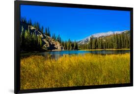 View of lake in Denali National Park, Alaska, United States of America, North America-Laura Grier-Framed Photographic Print