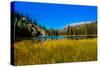View of lake in Denali National Park, Alaska, United States of America, North America-Laura Grier-Stretched Canvas