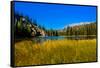 View of lake in Denali National Park, Alaska, United States of America, North America-Laura Grier-Framed Stretched Canvas