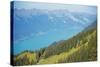 View of Lake Interlaken from Schynige Platte, Bernese Oberland, Swiss Alps, Switzerland, Europe-Christian Kober-Stretched Canvas