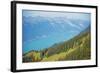 View of Lake Interlaken from Schynige Platte, Bernese Oberland, Swiss Alps, Switzerland, Europe-Christian Kober-Framed Photographic Print