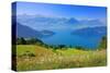 View of Lake Lucerne near Vitznau, Canton of Lucerne, Switzerland-null-Stretched Canvas