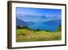 View of Lake Lucerne near Vitznau, Canton of Lucerne, Switzerland-null-Framed Art Print