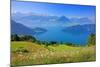 View of Lake Lucerne near Vitznau, Canton of Lucerne, Switzerland-null-Mounted Art Print