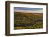 View of Lake Medora from Brockway Mountain near Copper Harbor in the Upper Peninsula of Michigan.-Chuck Haney-Framed Photographic Print