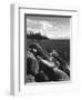 View of Lake Tahoe, Lake Tahoe Nevada State Park, Nevada, USA-Adam Jones-Framed Photographic Print