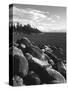 View of Lake Tahoe, Lake Tahoe Nevada State Park, Nevada, USA-Adam Jones-Stretched Canvas