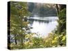 View of Lake Through Tree Branches-null-Stretched Canvas