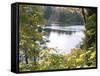 View of Lake Through Tree Branches-null-Framed Stretched Canvas