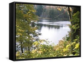 View of Lake Through Tree Branches-null-Framed Stretched Canvas