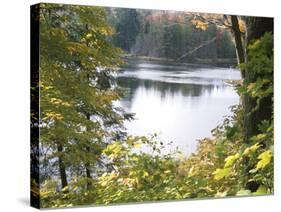 View of Lake Through Tree Branches-null-Stretched Canvas