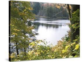 View of Lake Through Tree Branches-null-Stretched Canvas