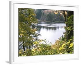 View of Lake Through Tree Branches-null-Framed Photographic Print