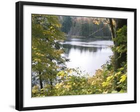 View of Lake Through Tree Branches-null-Framed Photographic Print