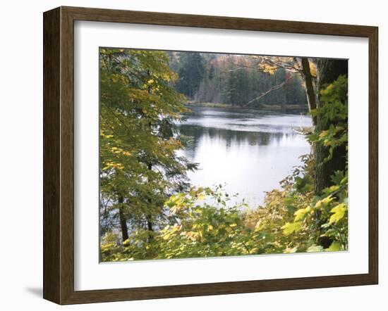 View of Lake Through Tree Branches-null-Framed Photographic Print