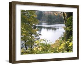 View of Lake Through Tree Branches-null-Framed Photographic Print